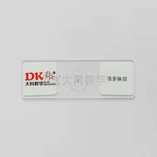 顶芽纵切 10片/盒 生物切片 玻片标本 中小学专用