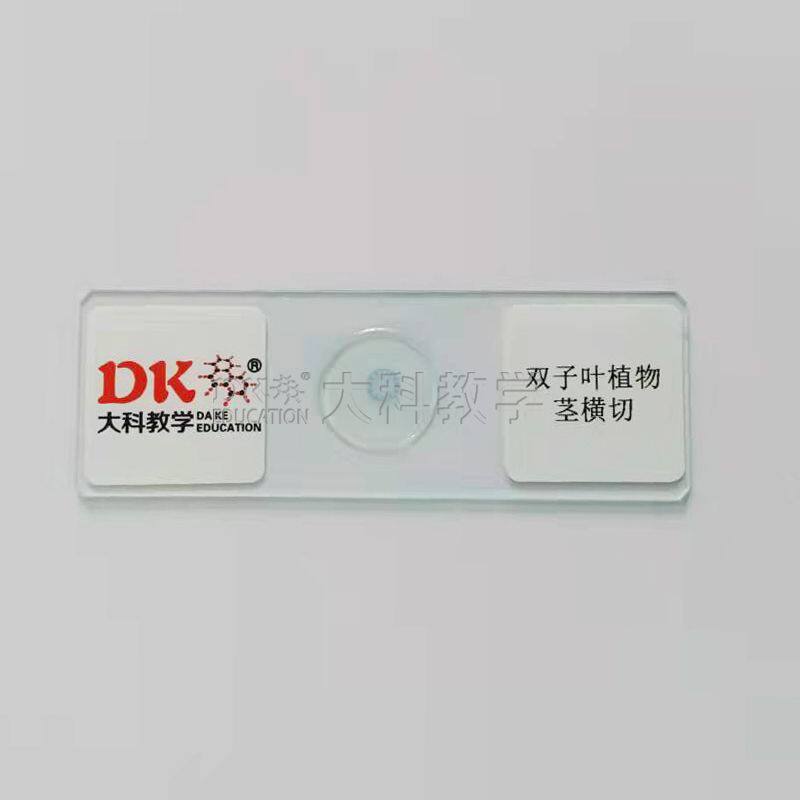 双子叶植物茎横切 10片/盒 生物切片 玻片标本 中小学专用