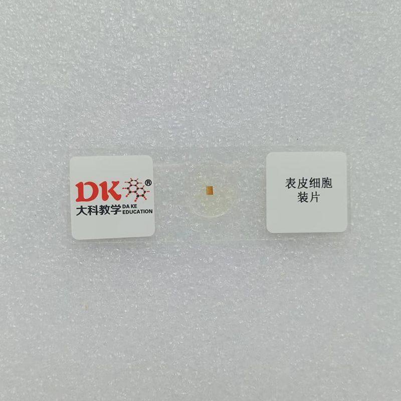 动物表皮细胞装片 10片/盒 生物玻片标本 中小学专用,文具电教/文化用品/商务用品,教学仪器/实验器材,淘宝优惠券,粉丝福利购,淘宝优惠卷
