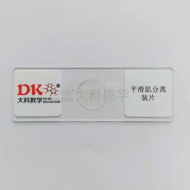平滑肌分离装片 10片/盒 生物显微玻片标本 生物切片 中小学专用