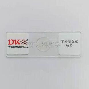平滑肌分离装片 10片/盒 生物显微玻片标本 生物切片 中小学专用