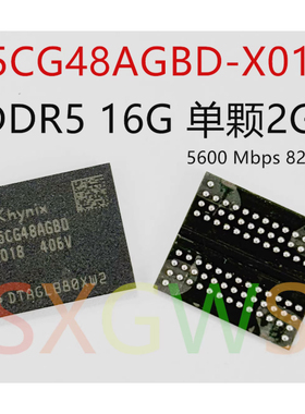 H5CG48AGBD-X018 DDR5 16G 单颗2G 5600 Mbps 82 FBGA内存芯片
