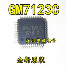 一个【直拍】GM7123C 全新原装视频解码芯片（