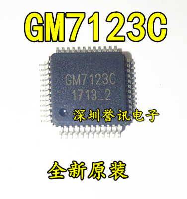 一个【直拍】GM7123C 全新原装视频解码芯片（