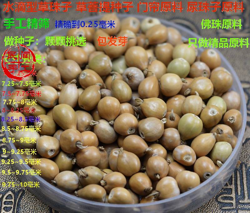 草珠子手串门帘 原料 草珠子门帘 佛珠原料草珠子苗菩提佛珠男女