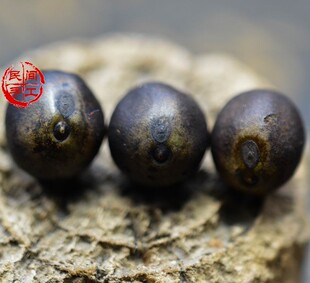 水龙珠菩提  袋中天菩提 黄金袋菩提 人种袋菩提 紫金钵盂菩提