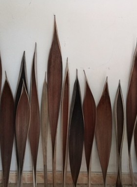 巨型可可叶天然植物叶子托盘摆件 巴西进口可可叶干花 工作室饰品