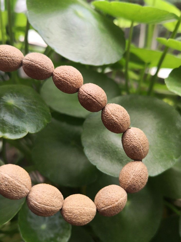 五线菩提手持手串佛珠野生菩提子故宫五线菩提手工制作