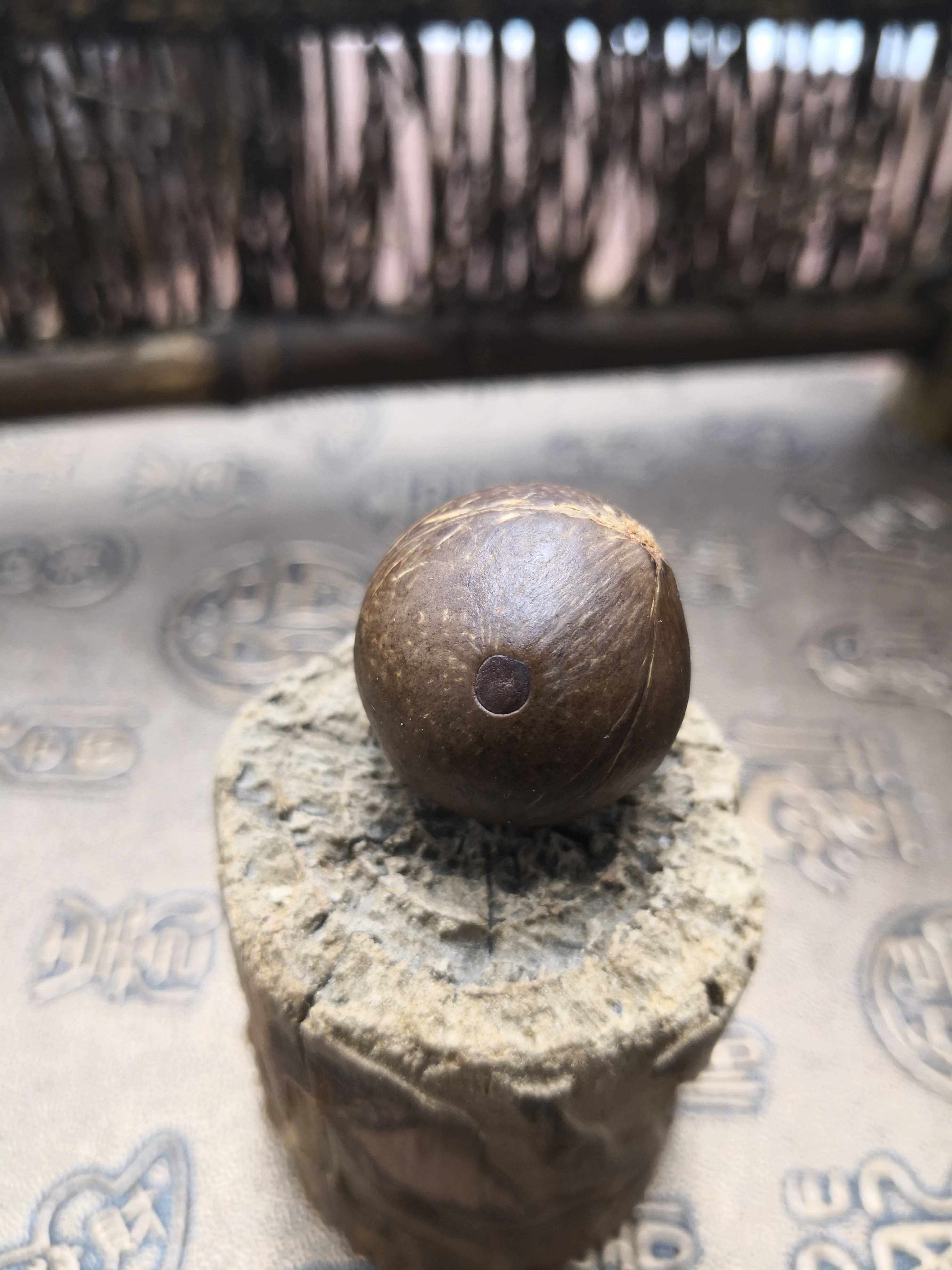 三眼金花菩提  紫金钵盂菩提  日进斗金菩提 龙鳞凤爪菩提 乾坤核
