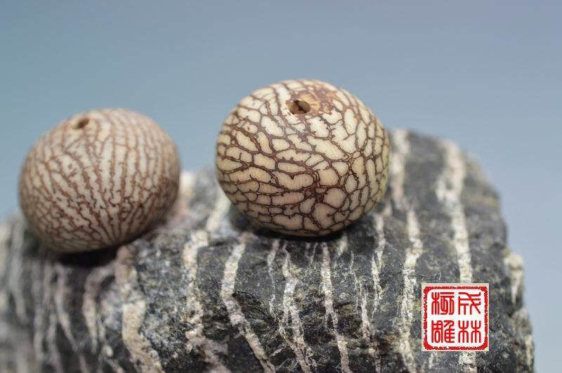 金丝菩提子　血丝菩提子　 竹根小众木作
