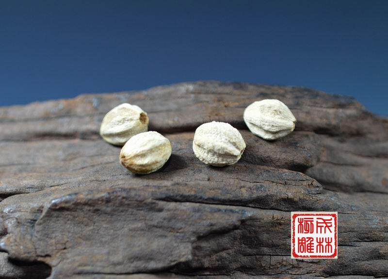 六顺菩提子 滴血莲花 核桃雕刻 葫芦烫画 竹刻 木雕 橄榄核手串