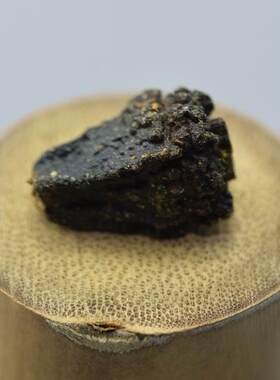 佛坛菩提 紫金钵菩提 柏香籽 百香树柏香子佛珠 柏香籽