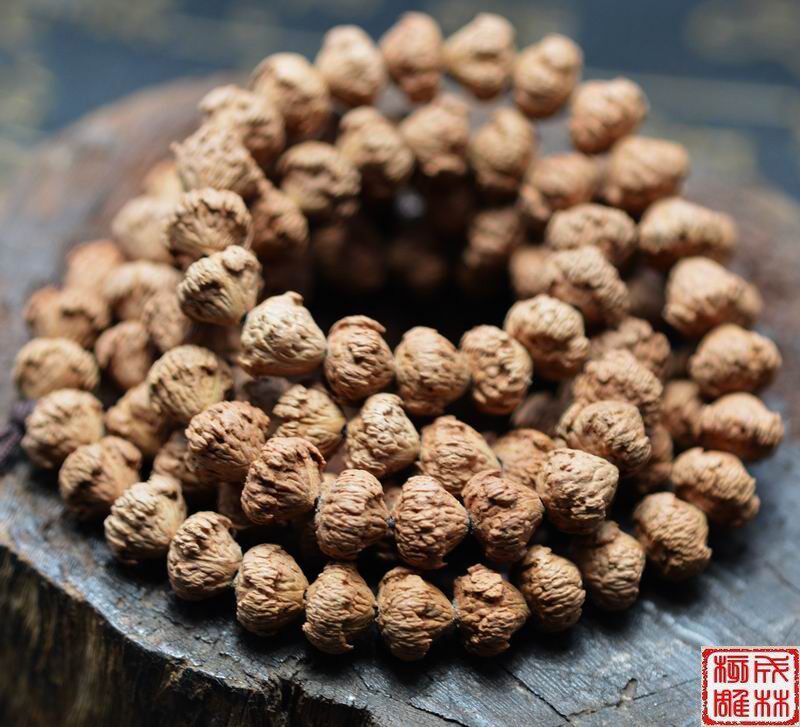 矮桩宝塔莲花菩提 莲花菩提子 枣核 磨盘莲花 紫金钵盂 日进斗金