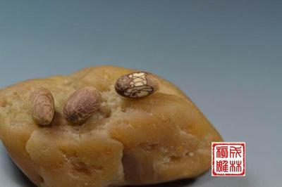 玉米金线菩提子 杏核雕刻 桃核雕刻 橄榄核雕刻核桃雕刻 紫檀沉香
