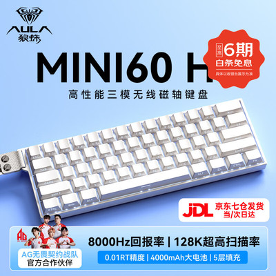 狼蛛（AULA）MINI60HE磁