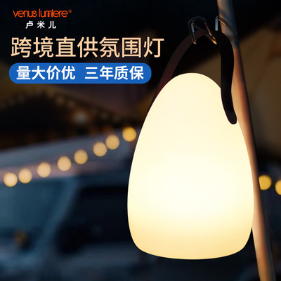 户外露营灯手提氛围灯LED蛋形庭院阳台装饰灯USB充电野营挂灯