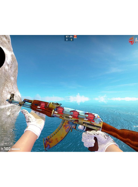 CSGO租号cs2多普勒爪子刀迈阿密手套水栽竹九头金蛇蝴蝶刀宝石