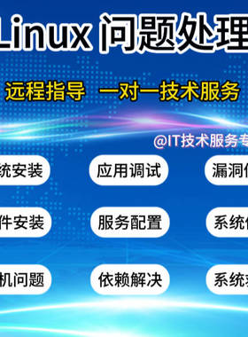 欧拉/龙蜥/凝思/linux系统问题解决修复软件安装故障技术支持