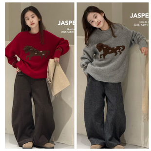 Jasper波拉韩国童装2025冬装儿童韩版小马毛衣中大童针织衫年装潮