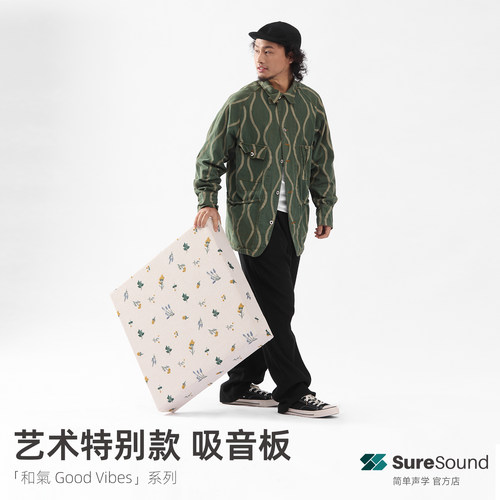 吸音艺术画去回声简单声学/烁声