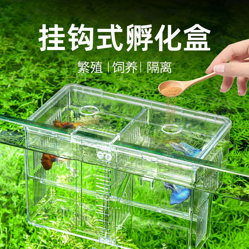鱼缸隔离盒孵化盒挂钩式孔雀鱼繁殖盒热带鱼产卵孵化产房鱼苗幼鱼图片