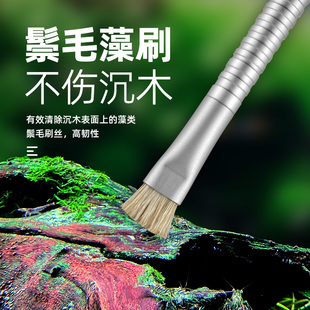 鱼缸清洁刷水草缸除藻专用刷钢丝刷石头沉木藻类褐藻绿藻刮藻刀