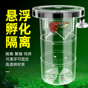 鱼缸孔雀鱼月光鱼飘浮型悬浮型孵化盒隔离盒幼鱼小鱼孵化器饲养盒