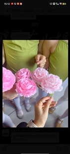 带杆洋牡丹花朵仿真花旎旎老师簪花入梦舞蹈道具花朵