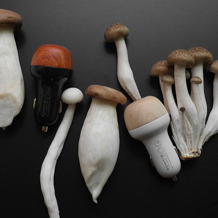 chargeur 2.1A, 2A - Ref 1292574 Image 4