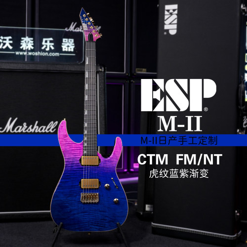 ESPM-IICTM日产贴面电吉他
