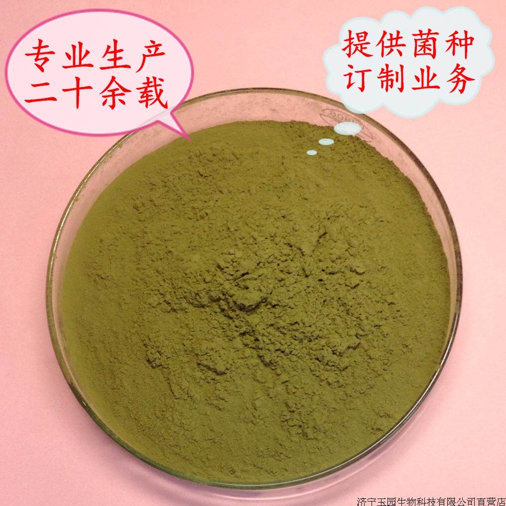甜面酱豆豉豆瓣酱米曲霉 大酱面酱发酵用曲种制曲用菌曲菌剂 包邮