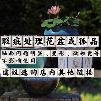 无孔花盆瑕疵处理水培花盆铜钱草盆陶瓷花盆碗莲睡莲盆