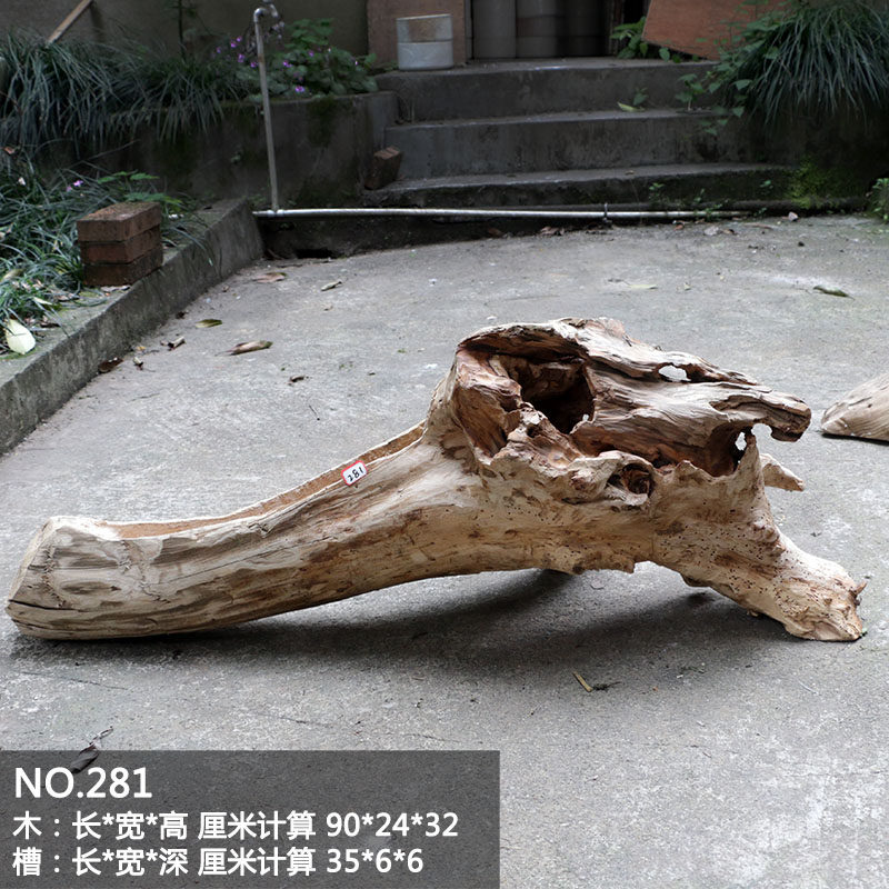 天然随形树根花盆多肉组合空气凤梨石斛枯木造景花盆根雕防腐花盆