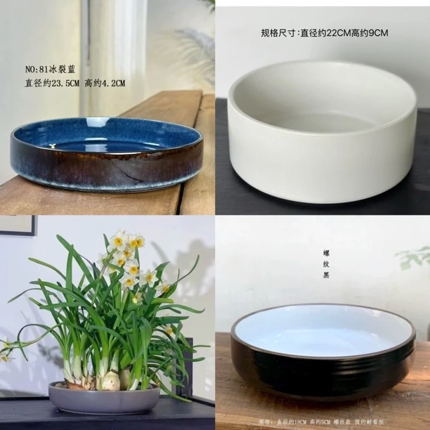 中日式插花盘水仙花盆