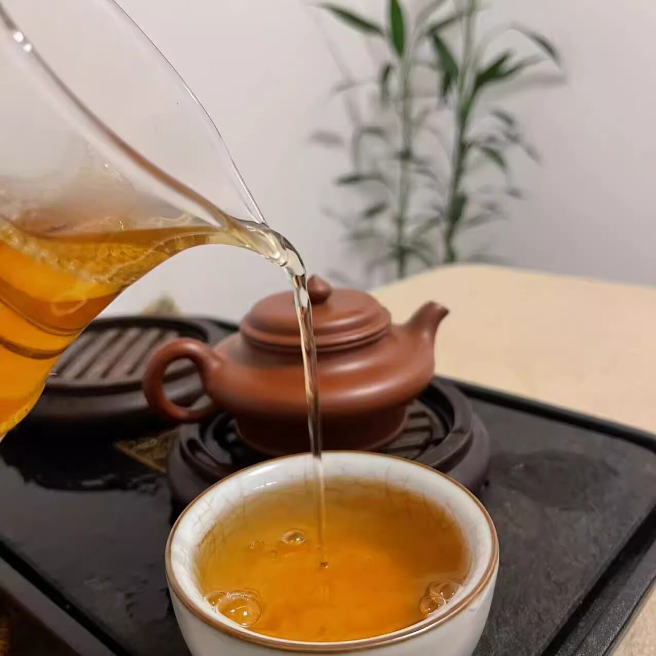 晓晓推荐~台湾生态名茶 东方美人茶 膨风茶 最是温和又安全的茶！