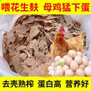 新鲜花生麸去壳现榨喂鸡花生饼禽饲料原料添加剂花生枯母鸡猛下蛋