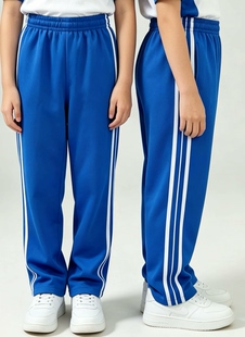 西安市沣东第一初级中学校服裤子