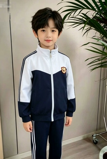 宝鸡高新凤师实验小学校服套装(下单前请咨询客服)