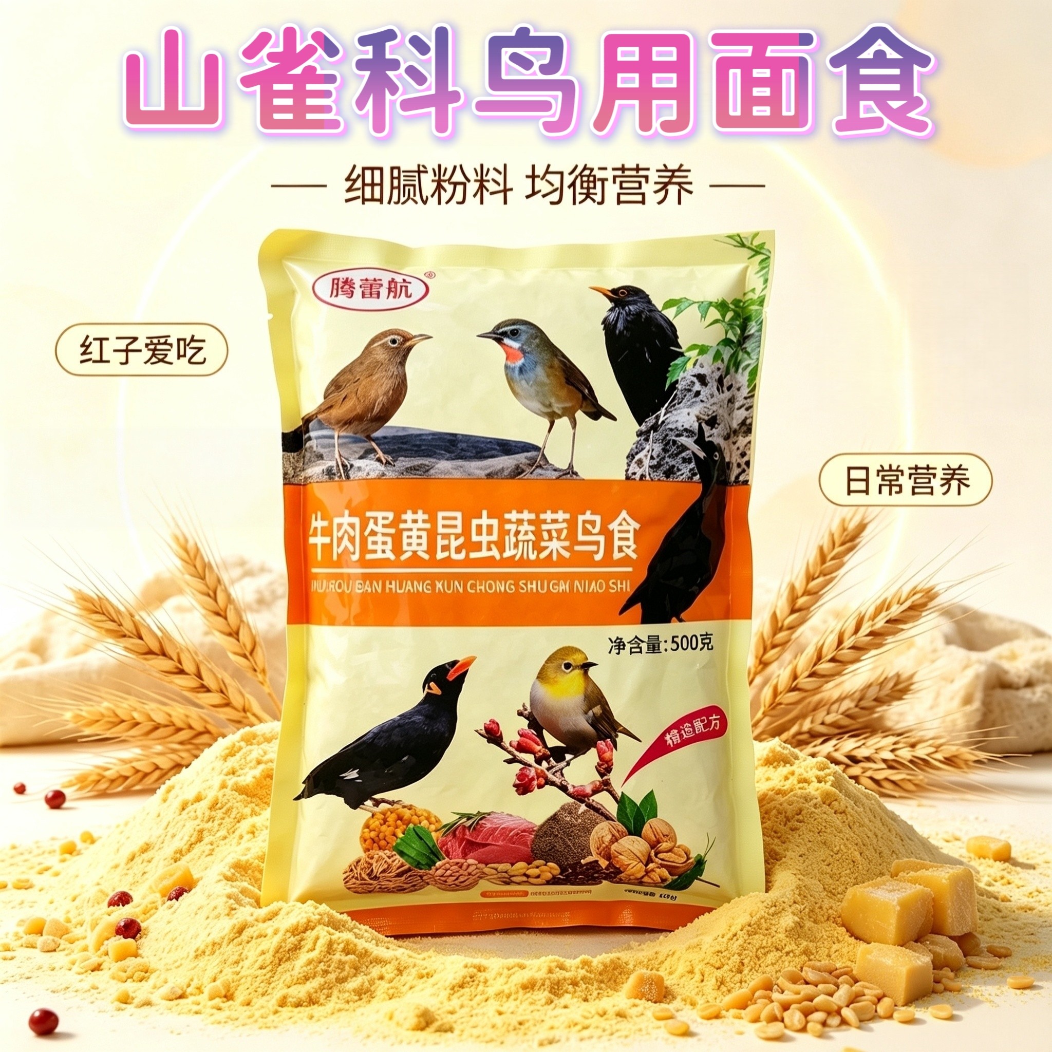 绣眼点颏红子贝子点子黑子鸟食图片