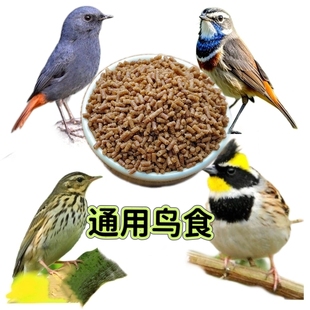 虎头凤观赏鸟食饲料探春春暖石燕鸟鸟粮绣眼靛颏通用粮食