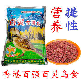 香港百强金装百灵鸟食饲料鸟粮沙百灵鸟饲料蒙古百灵