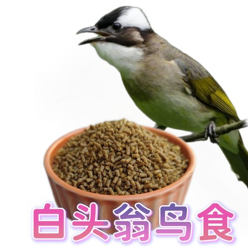 升级红耳鹎类白头翁鸟饲料益生菌营养通用鸟料