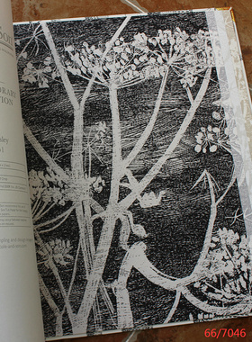 英国cole&son墙纸白色, 黑 颜色,花朵壁纸66/7046 7051 95/9049