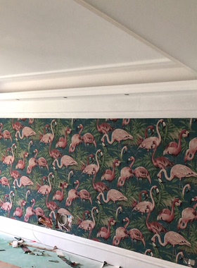 比利时进口无纺布丹顶鹤动物火烈鸟背景墙纸31540 31541 31542