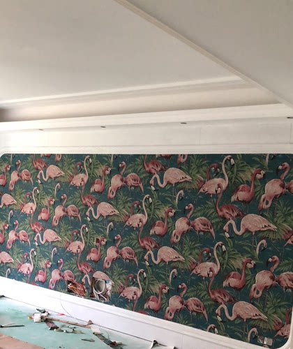 比利时进口动物火烈鸟背景墙纸