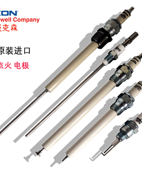 点火电极离子检测棒18117 8110 23739 47232 25663 27634 1081870