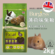 【暂缺】英国进口burgess薄荷成兔粮1