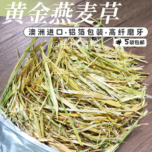 澳洲进口黄金燕麦草 澳麦手挑普筛 兔子豚鼠龙猫主草500g一番二压