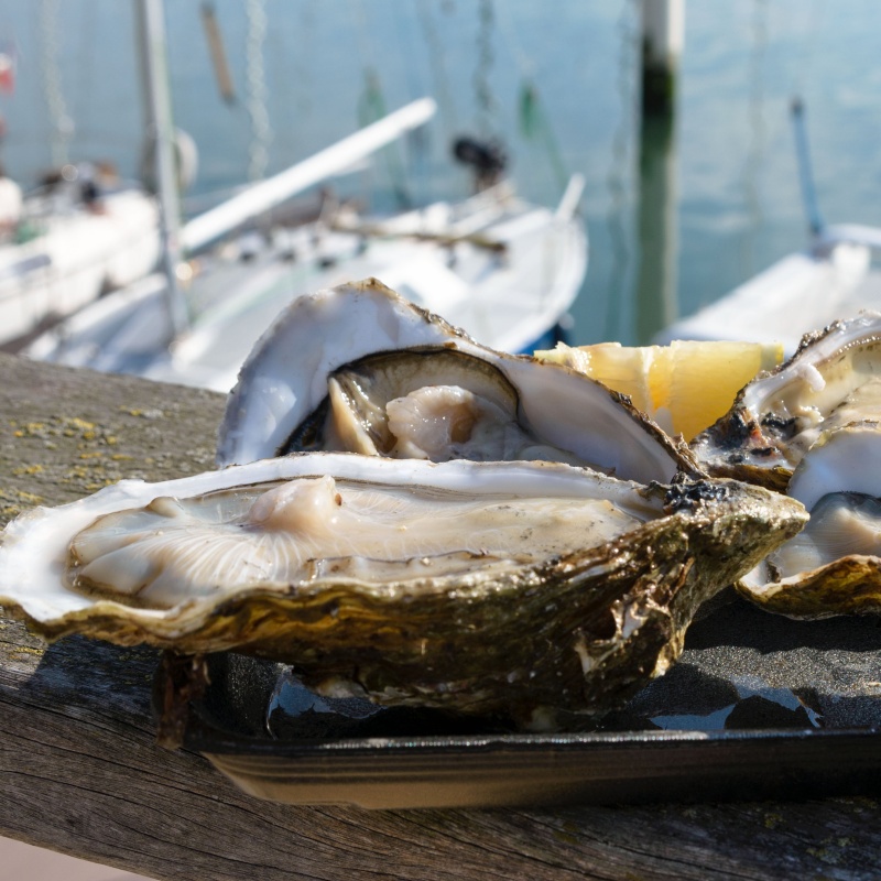 爱尔兰美人鱼生蚝N0/N1/N2号 12只原箱进口鲜活牡蛎包邮