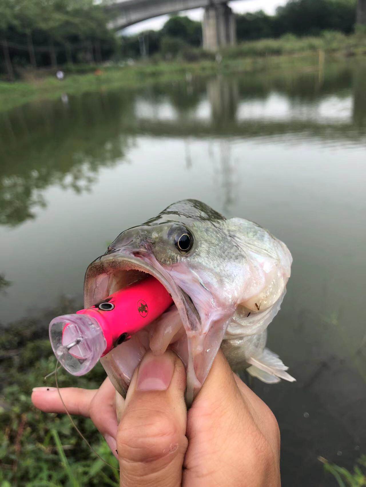 5克  水面系日系后置重心远投波爬 翘嘴专用